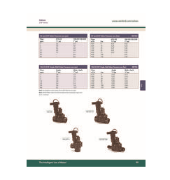 Rain Bird - DV100F DVF 1" Valve with Flow Control